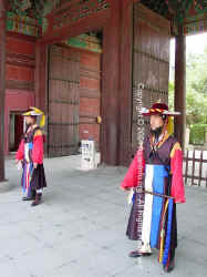 DSC00345 copy.JPG (244708 bytes)