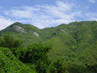 DSC01027 copy.JPG (120330 bytes)