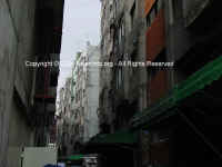 DSC01543 copy.JPG (77121 bytes)