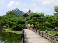 DSC01723 copy.JPG (120831 bytes)