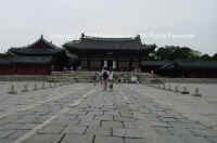 DSC01923 copy.JPG (71089 bytes)