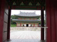 DSC02083 copy.JPG (97821 bytes)