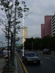 DSC02101 copy.JPG (231431 bytes)