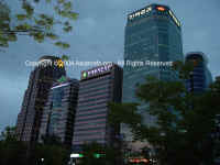DSC02184 copy.JPG (96624 bytes)