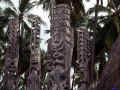 wooden-totem-poles.jpg (12411 bytes)