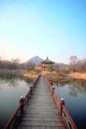 korea-garden.jpg (19400 bytes)