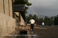 Imperial_Palace_Kyoto.JPG (55413 bytes)