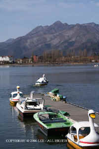 Mt_Fuji_resort.JPG (58771 bytes)