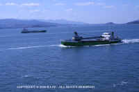 boat.JPG (50219 bytes)