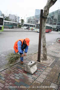 street_cleaner.JPG (71789 bytes)